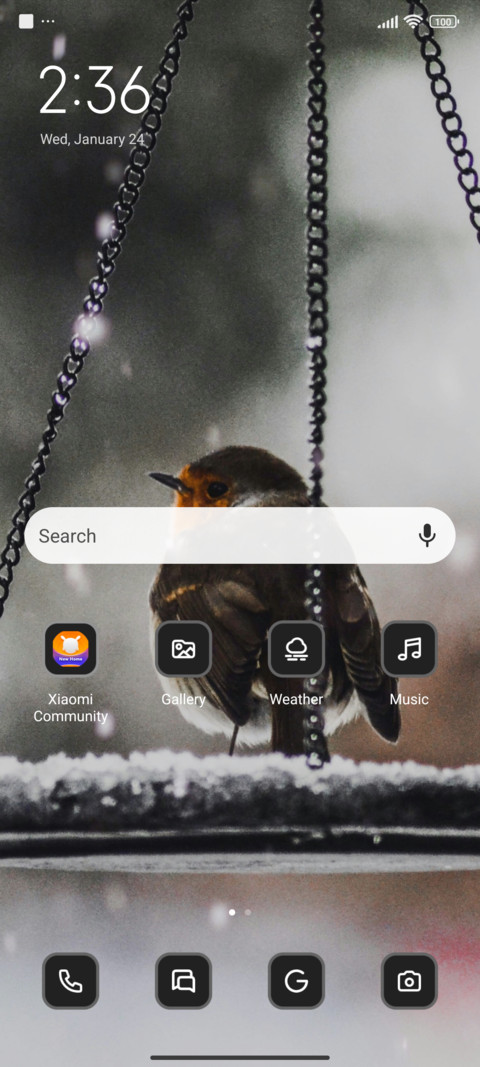 Winter bird screenshot