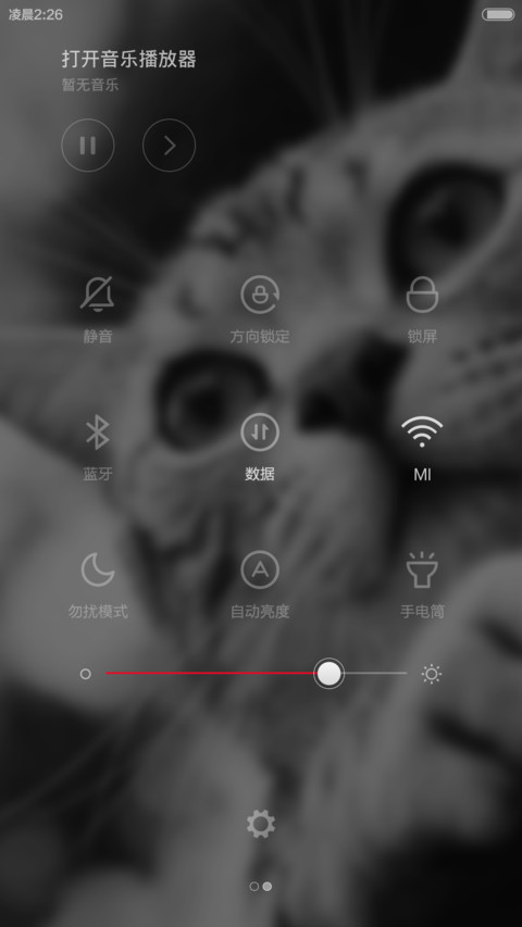 愿做你的铲屎官 screenshot