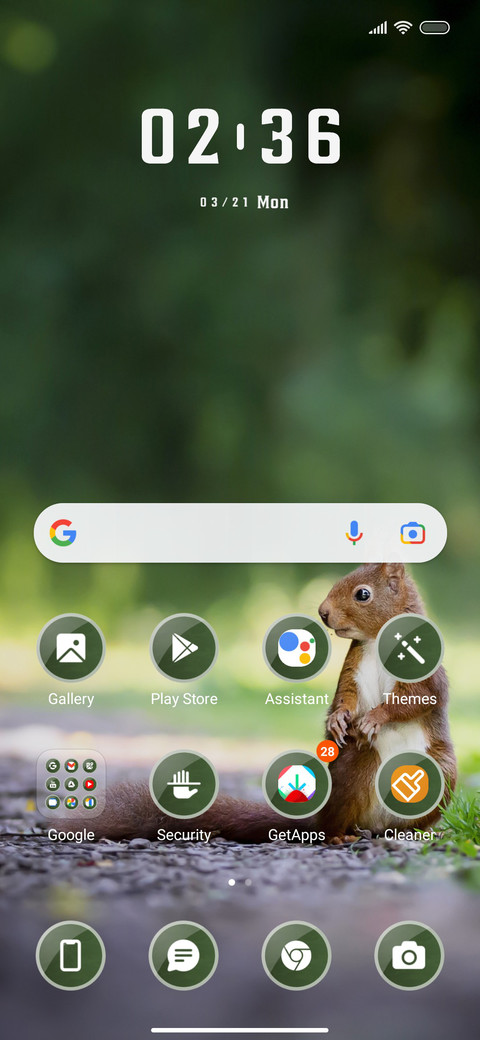 Cute Squirrel screenshot
