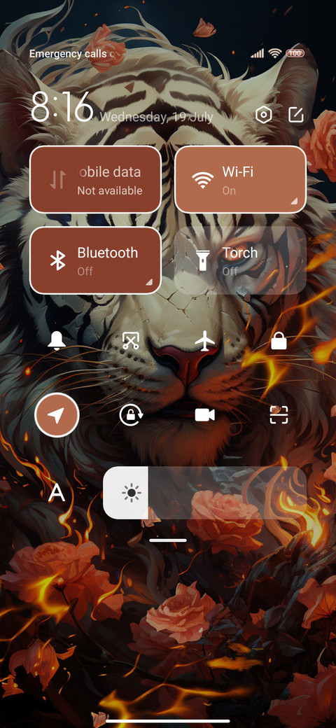 Tiger in the Fire screenshot