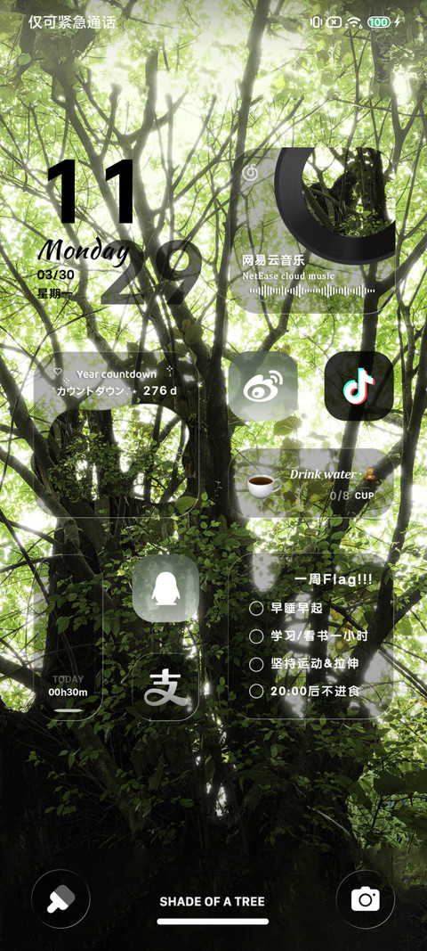 树影摇碎 绿意斑驳 screenshot