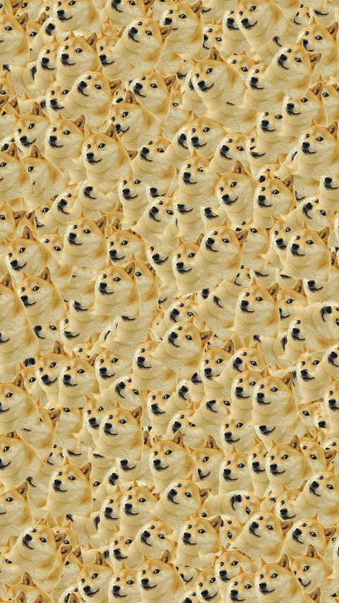 柴犬 screenshot