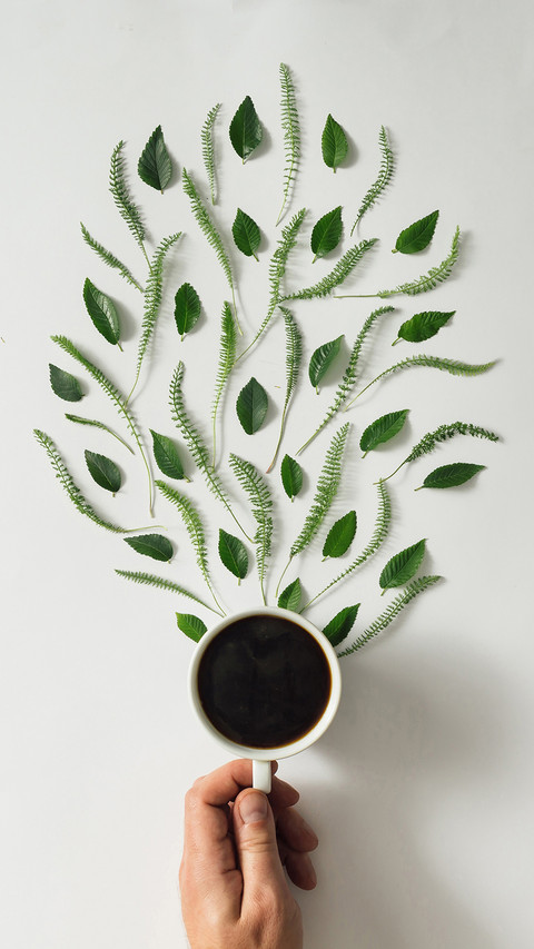 Creative Foods-PAIXIN screenshot