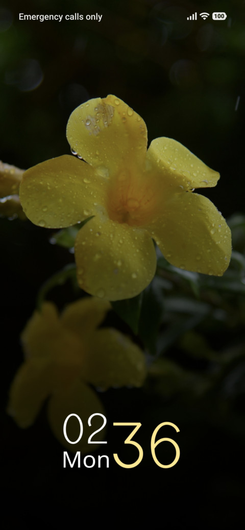 Golden Shower screenshot