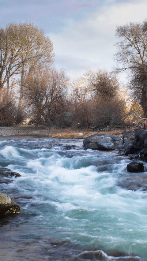 Snake river in the united states in winter screenshot