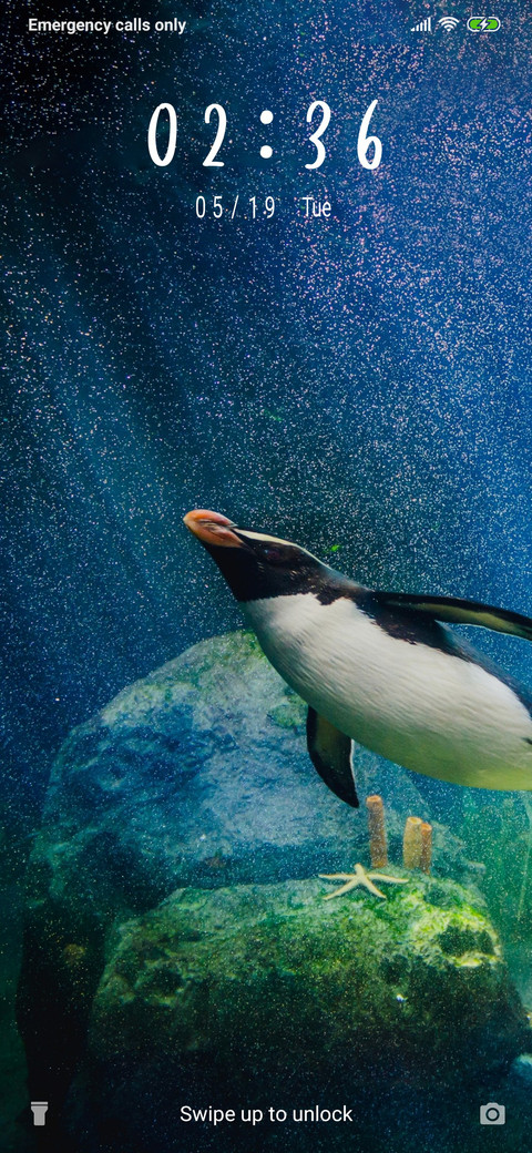 Diving Penguins_3MDS screenshot