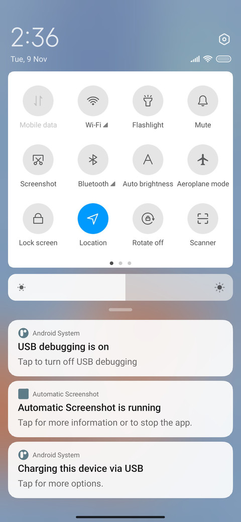 Dynamic fox screenshot