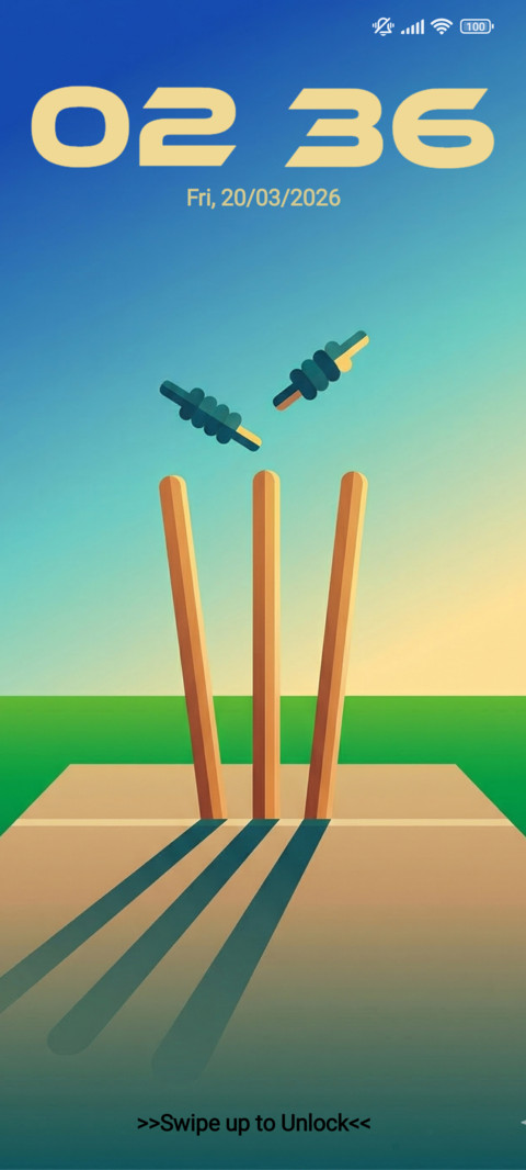 Clean Bowled  screenshot
