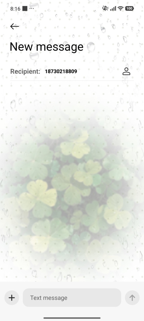 Lucky Clover OS screenshot