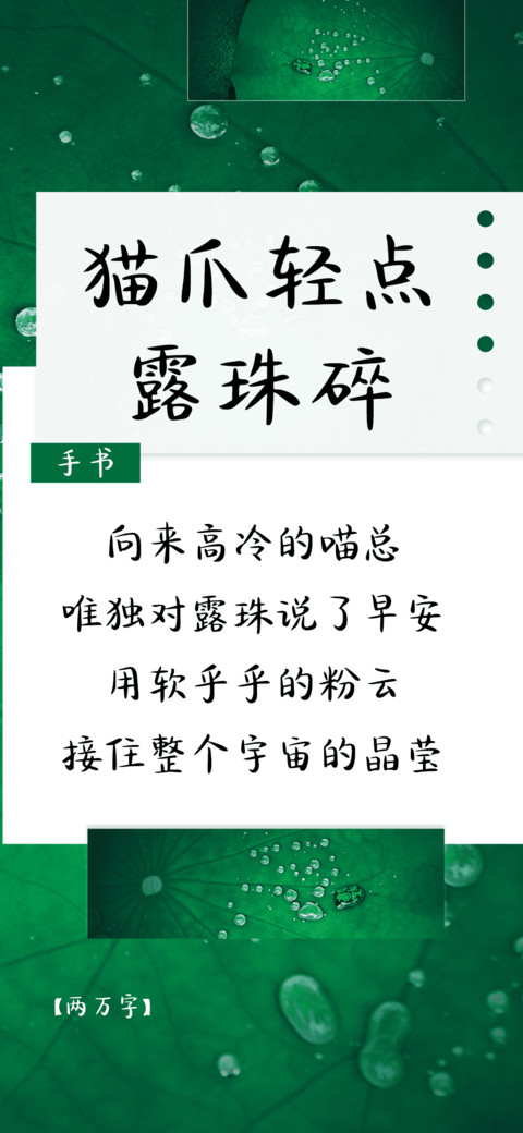 猫爪轻点露珠碎 screenshot