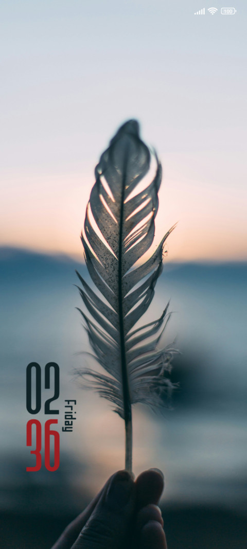 Feather screenshot