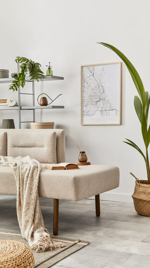 Living Room  with Stylish Sofa and Design Furniture screenshot