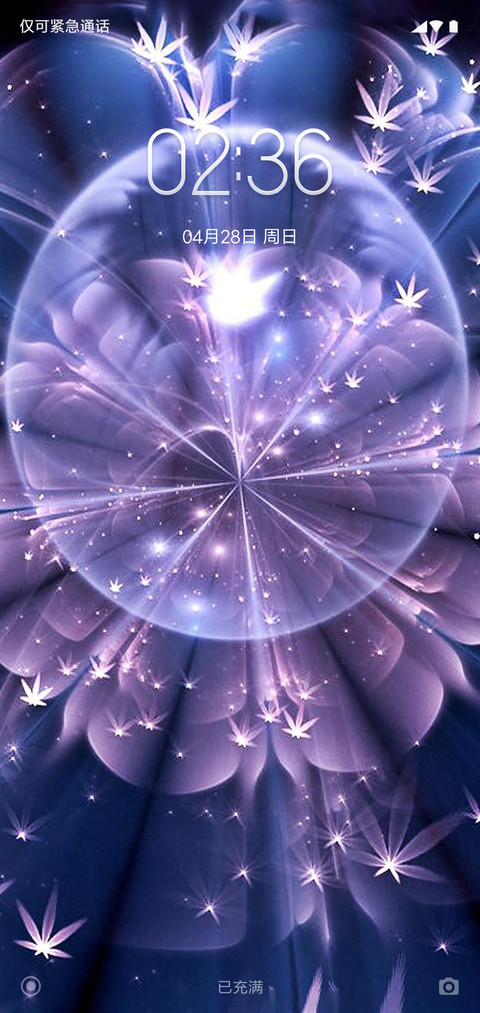 暗夜之花 screenshot