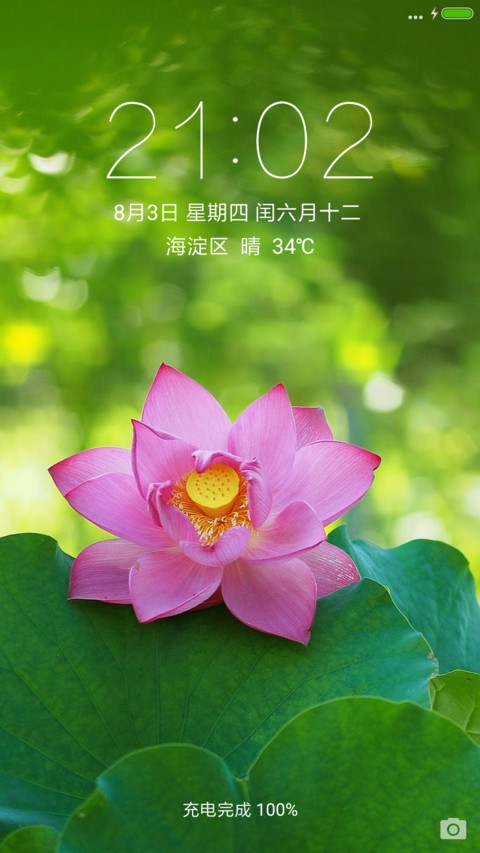 清水荷花 screenshot