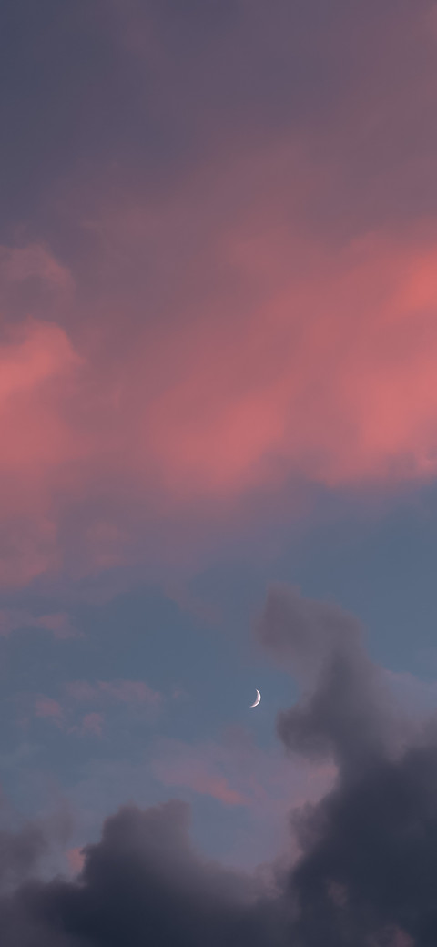 收集浪漫 screenshot