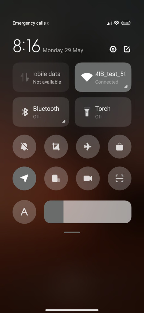 Cocunut Tree screenshot