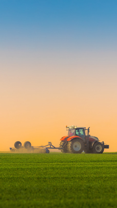 Beautiful view of the farmland screenshot