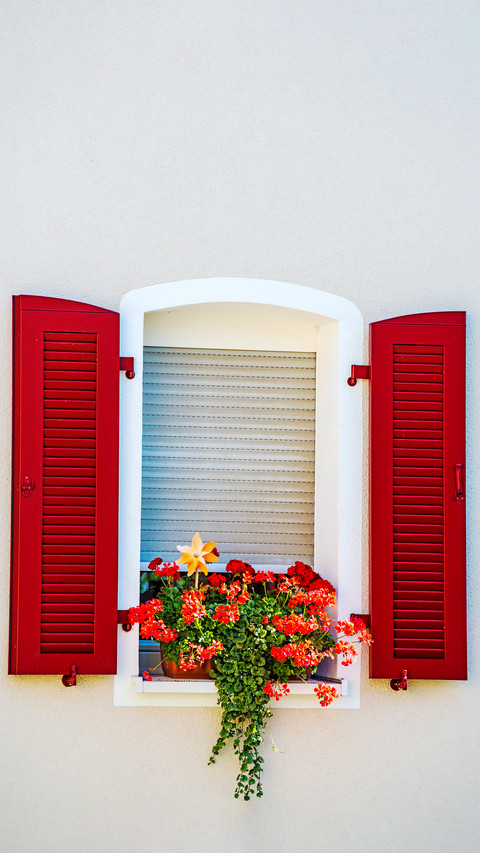 The flowers on the windowsill screenshot