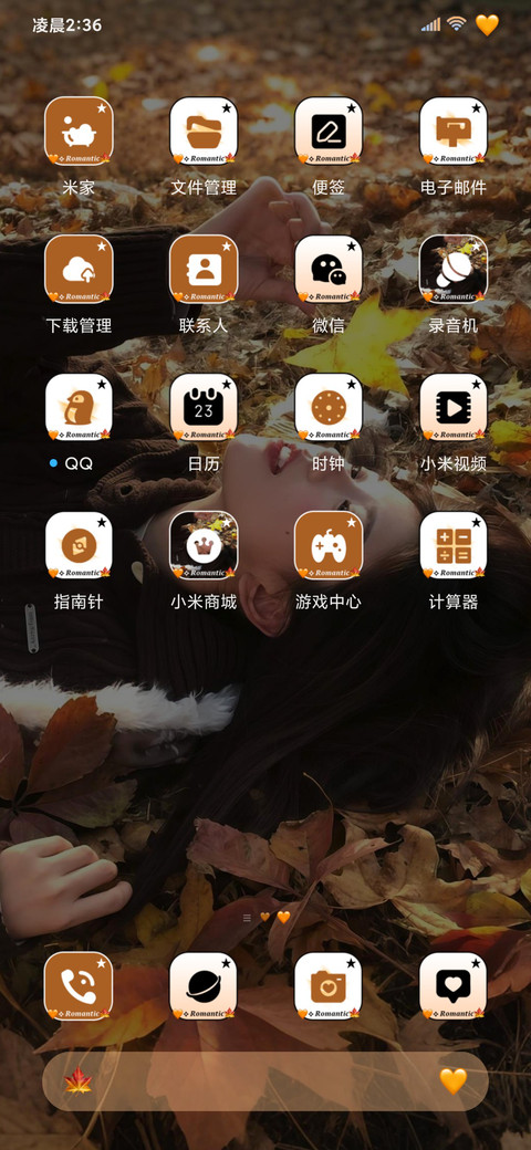 秋日落叶的来信 screenshot