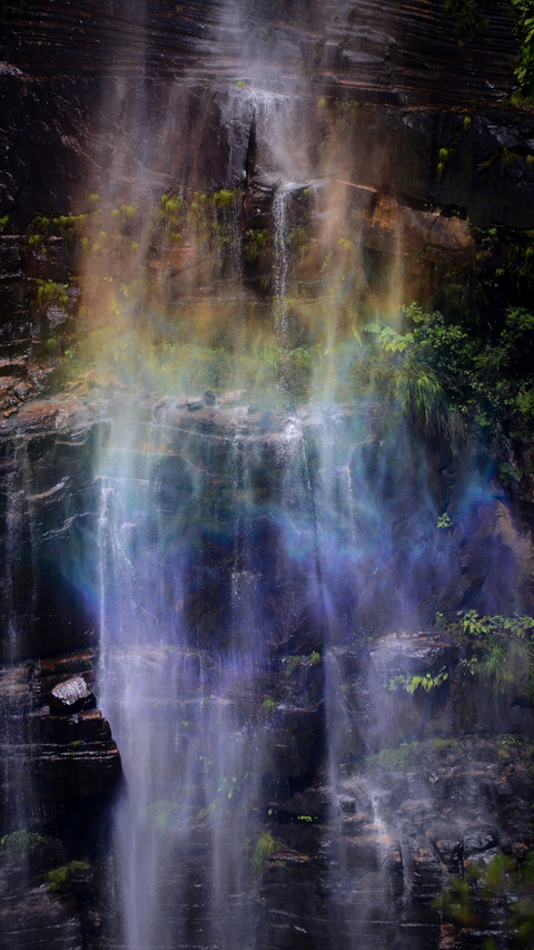 The dense foliage above the Rainbow Mist Waterfall screenshot