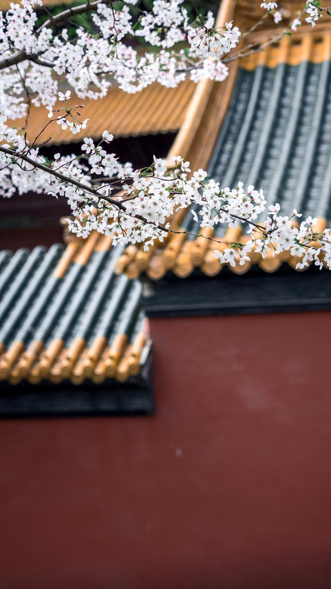 红墙叹 screenshot