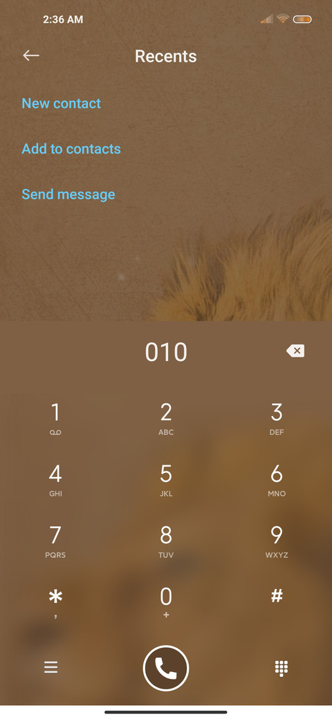 Desert lions screenshot