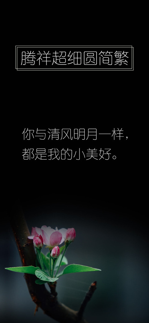 腾祥超细圆简繁 screenshot