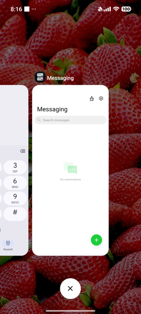 Strawberry Preview