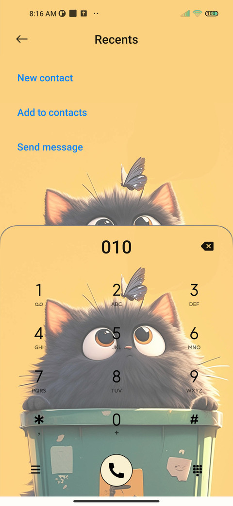 Hide and Seek Cat screenshot