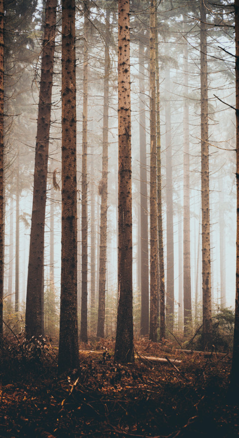 Android HD (48) screenshot