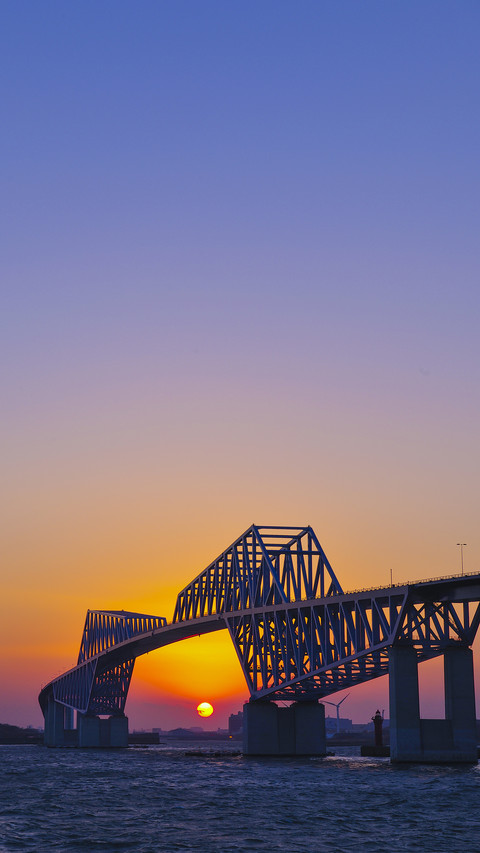 International-Tokyo Gate Bridge screenshot