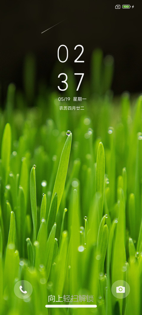 清新护眼绿 screenshot