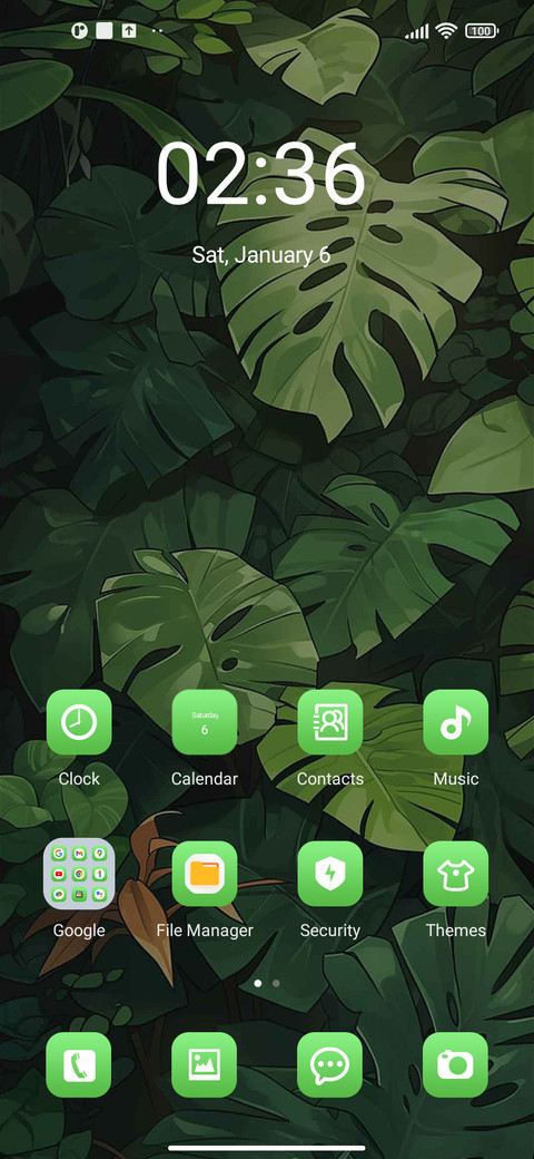 Rainforest Clock screenshot