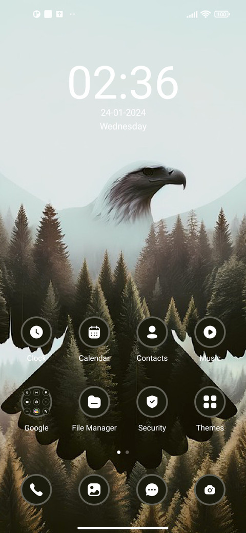 Eagle View screenshot