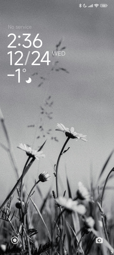 Silent Bloom screenshot