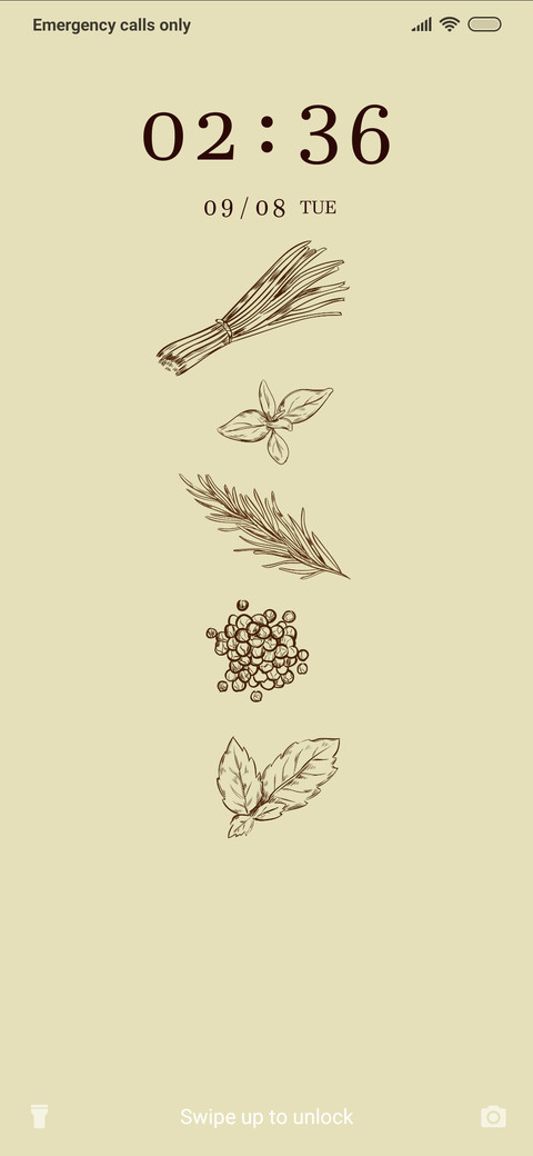 Indian Spices_3MDS screenshot