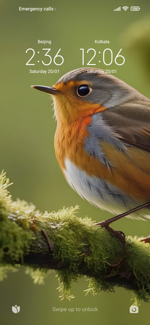 Bird screenshot