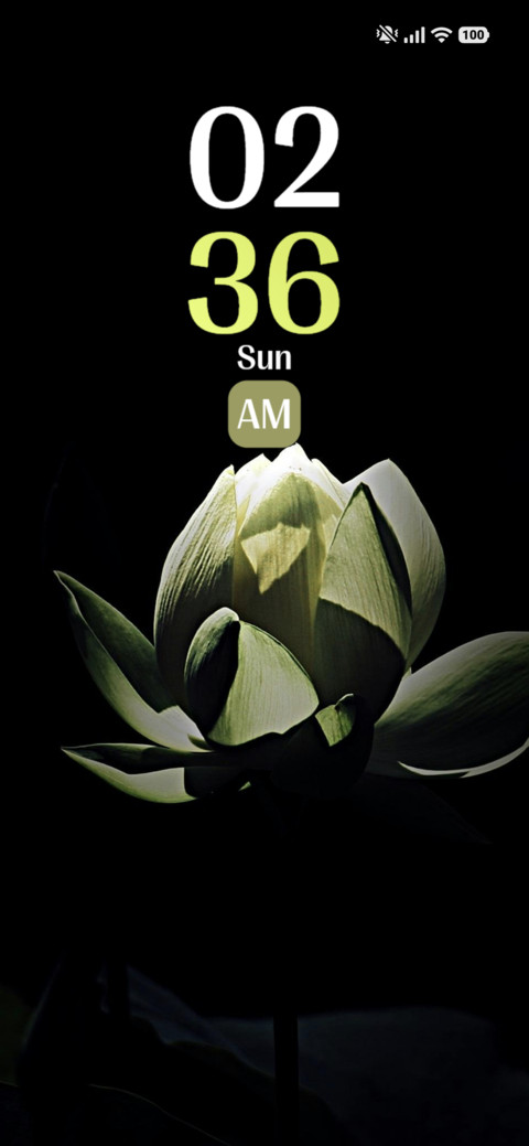 Petal screenshot