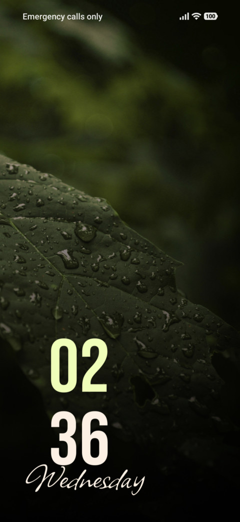 Leaf Whisper screenshot