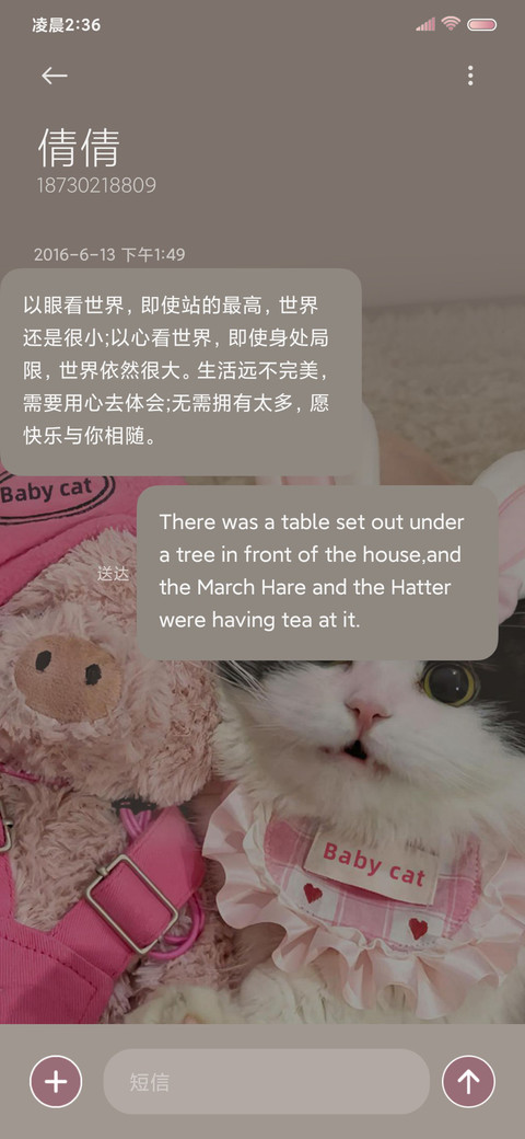 双模式 甜心小猫 screenshot