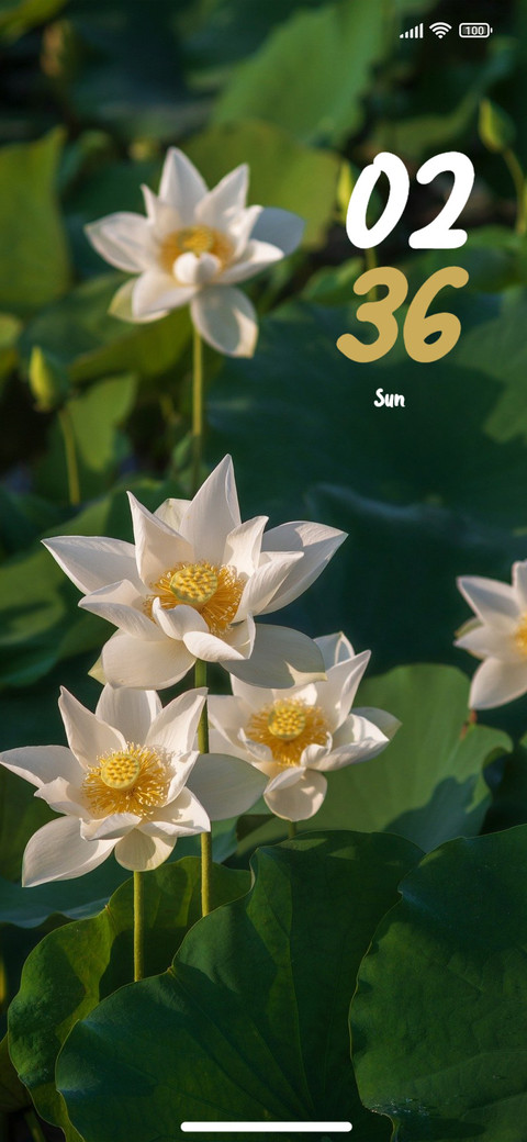 White Lotus screenshot