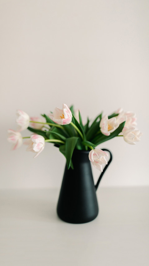 Soft white tulips on the white background screenshot