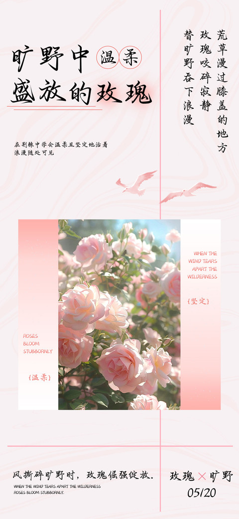 旷野中盛放的玫瑰 screenshot