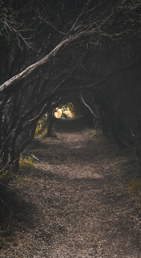 Roads & Pathways (6) screenshot