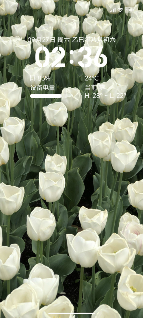 bloom screenshot