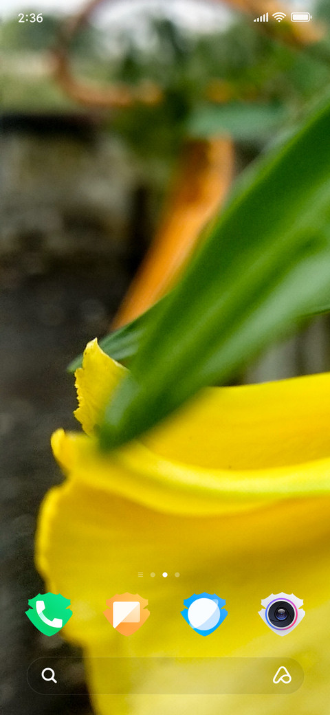 Cool Flower_DWM2 screenshot