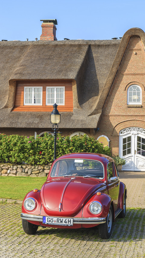 Ancient Car Vehicle Beetle screenshot