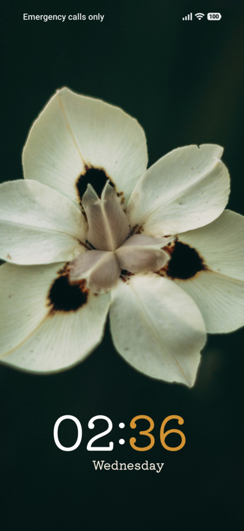 Silver Blossom screenshot