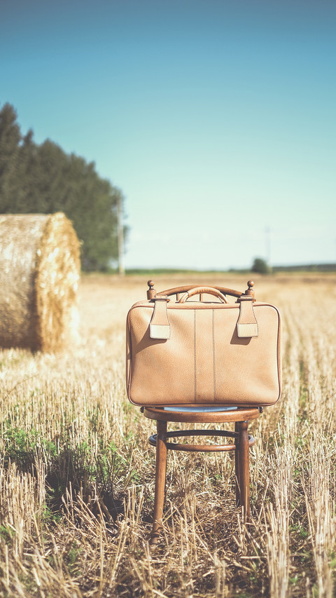 International-bag screenshot