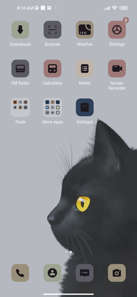Black Cat screenshot